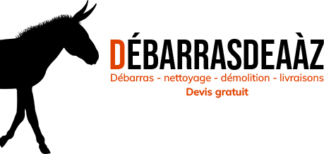 Logo footer